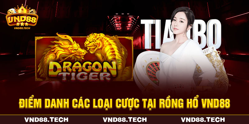 Điểm danh các loại cược tại rồng hổ VND88 Điểm danh các loại cược tại rồng hổ VND88