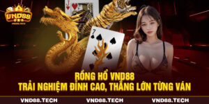 Rồng Hổ VND88 – Trải Nghiệm Đỉnh Cao, Thắng Lớn Từng Ván