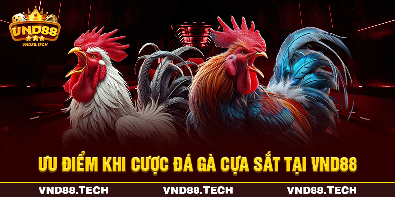 Ưu điểm khi cược đá gà cựa sắt tại VND88